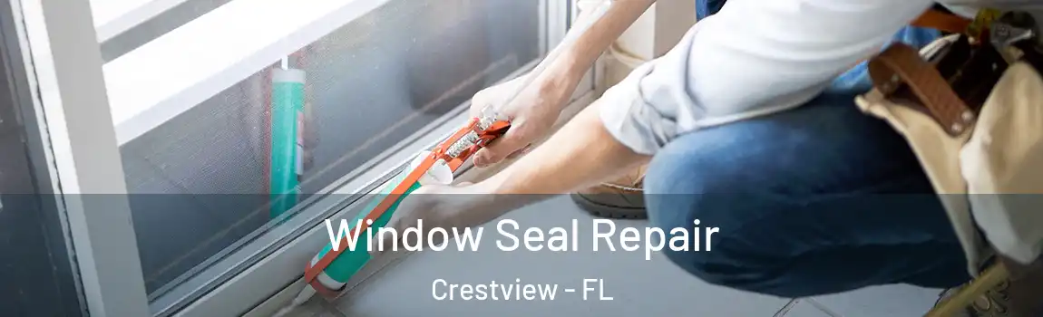  Window Seal Repair Crestview - FL
